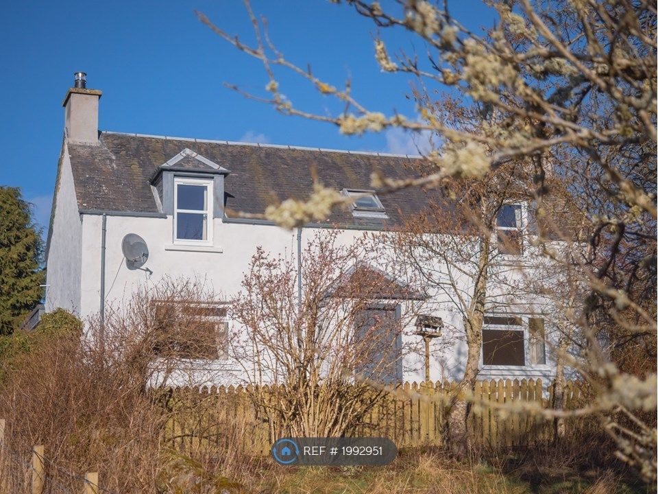 4 bed detached house to rent in Newton Of Bamff, Alyth, Blairgowrie