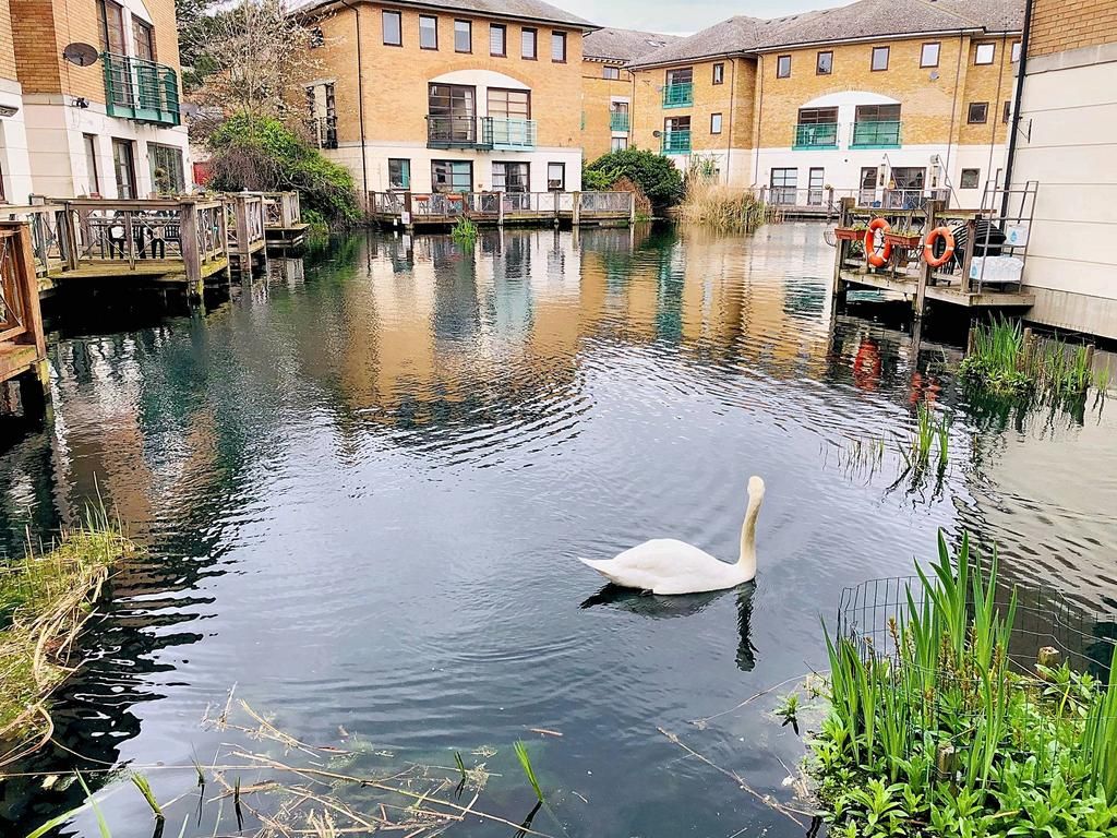 Room to rent in Plover Way, London SE16, £1,025 pcm Zoopla