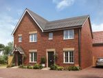 Thumbnail to rent in "The Gosford - Plot 271" at Pioneer Way, Brantham, Manningtree