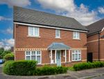 Thumbnail for sale in Pyrethrum Way, Willingham