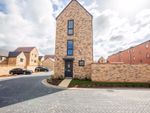 Thumbnail to rent in Field Maple Close, Winteringham, St Neots