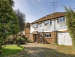 Thumbnail for sale in Woodland Drive, Hove, East Sussex