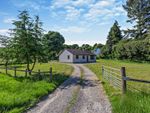 Thumbnail for sale in Balloch, Inverness, Highland