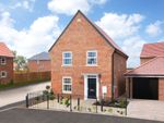 Thumbnail to rent in "Ingleby" at Flag Cutters Way, Horsford, Norwich