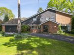 Thumbnail for sale in Whynstones Road, Ascot