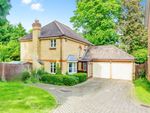 Thumbnail for sale in Postmill Close, Shirley, Croydon, Surrey