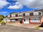 Thumbnail to rent in Hersham Close, Newcastle Upon Tyne