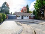 Thumbnail for sale in Beauchamp Road, Solihull