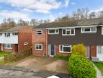 Thumbnail to rent in Milford, Godalming, Surrey