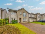 Thumbnail to rent in Muir Place, Lochgelly