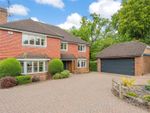 Thumbnail for sale in Lane End, Dormansland, Lingfield