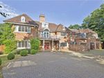 Thumbnail to rent in Kings Warren, Crown Estate, Oxshott, Surrey