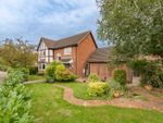 Thumbnail to rent in Mallard Drive, Ridgewood, Uckfield