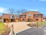 Thumbnail for sale in Persia Place, Crawley Down Road, Felbridge, West Sussex