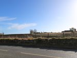 Thumbnail for sale in Drummond Road, Evanton, Dingwall