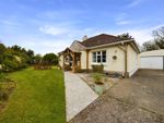 Thumbnail to rent in Holsworthy