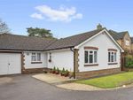 Thumbnail for sale in Quail Close, Horsham