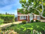 Thumbnail to rent in Denbury Avenue, Stockton Heath, Warrington