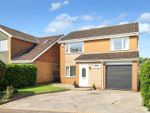 Thumbnail to rent in Shannon Close, Willaston, Nantwich, Cheshire