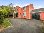 Thumbnail to rent in Cranbrook Drive, Prudhoe, Newcastle Upon Tyne
