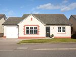 Thumbnail to rent in Beattie Place, Laurencekirk