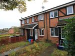 Thumbnail to rent in Shearwater Close, Stevenage