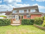 Thumbnail for sale in Steeple Road, Mayland