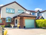 Thumbnail to rent in Riverview Gardens, Hullbridge, Hockley