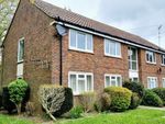 Thumbnail to rent in Kirkby Close, Boxgrove, Chichester