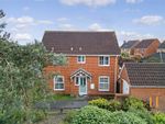 Thumbnail to rent in Anglesey Gardens, Wickford, Essex