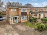 Thumbnail for sale in Cold Waltham Lane, Burgess Hill, Sussex