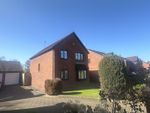 Thumbnail for sale in Netherby Rise, Darlington