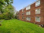 Thumbnail for sale in Maple Road, Anerley, London