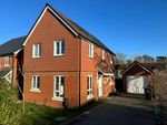 Thumbnail for sale in Sandy Hill Close, Waltham Chase, Southampton