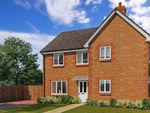 Thumbnail for sale in Holmwood Way, Langmead Place Bellway, Angmering, West Sussex