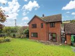 Thumbnail to rent in Downfield, Winterborne Stickland, Blandford, Dorset