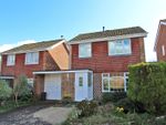 Thumbnail for sale in Stanford Rise, Sway, Lymington, Hampshire