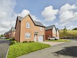 Thumbnail to rent in Fern Tree Walk, Burton-On-Trent, Staffordshire