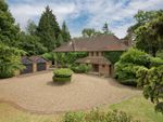 Thumbnail to rent in Brooks Close, St George's Hill, Weybridge, Surrey