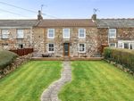 Thumbnail for sale in Maynes Row, Tuckingmill, Camborne, Cornwall