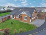 Thumbnail to rent in Hazelgrove, Seaton, Workington