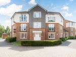 Thumbnail to rent in Holt Close, Ashford