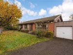 Thumbnail to rent in Gallowhill Gardens, Kinross