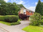 Thumbnail to rent in Arundel Close, Passfield, Liphook