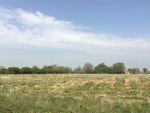 Thumbnail for sale in Lot 1: Land At Bubwith, Bubwith, Selby, North Yorkshire