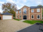 Thumbnail for sale in Chestnut Drive, Attleborough