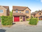 Thumbnail for sale in Broadmeadow Close, Totton, Southampton, Hampshire