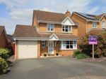 Thumbnail to rent in Belgravia Gardens, Hereford