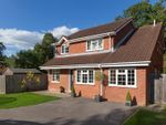 Thumbnail to rent in Willow Park, Lindfield, Haywards Heath