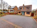 Thumbnail to rent in Weston Road, Stafford, Staffordshire